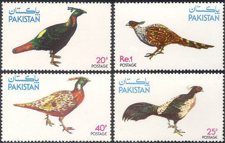 (image for) Pakistan Fdc 1979 Brochure & Stamp Wildlife Series Pheasant