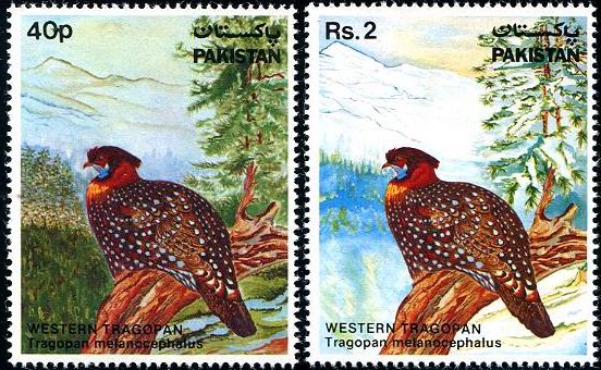 (image for) Pakistan Fdc 1981 Brochure & Stamps Western Tragopan