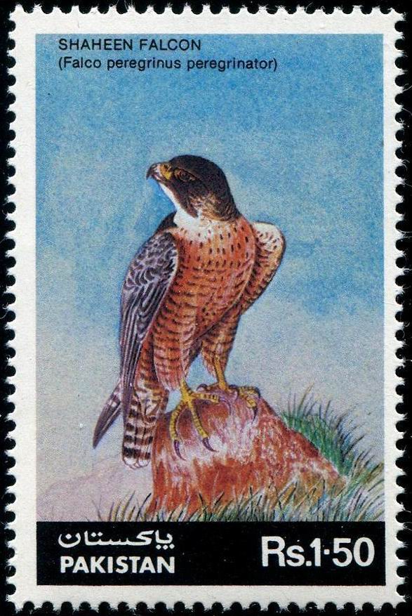 Pakistan Fdc 1986 Brochure & Stamp Shaheen Falcon - Click Image to Close