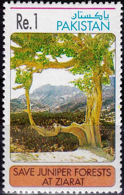 (image for) Pakistan Fdc 1995 Brochure & Stamp Juniper Forests At Ziarat