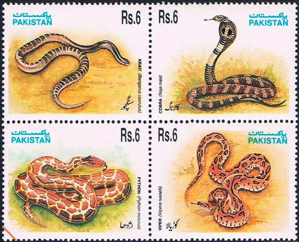 (image for) Pakistan Fdc 1995 Brochure Stamps Snakes