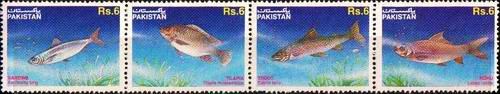 (image for) Pakistan Fdc 1995 Brochure Stamps Wildlife Series Fishes