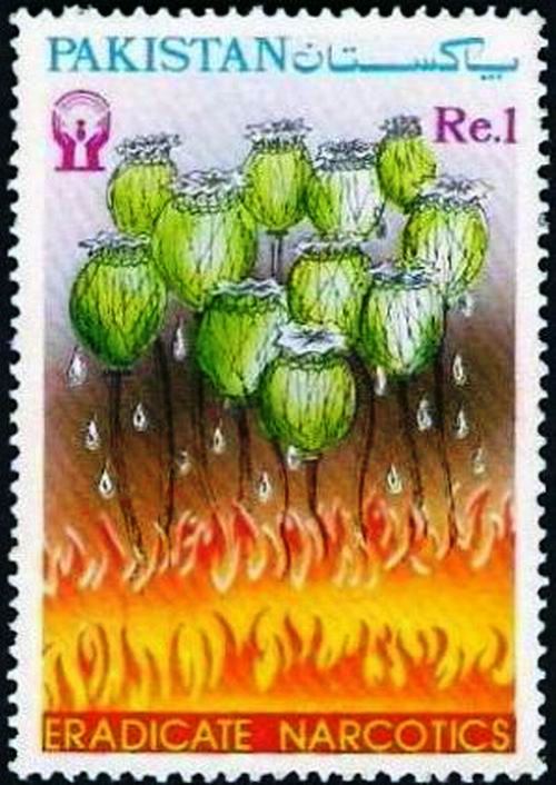 (image for) Pakistan Fdc 1987 Brochure & Stamp Drug Free Society