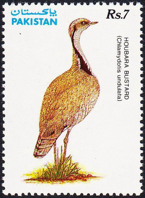 (image for) Pakistan Fdc 1991 Brochure & Stamp Hubara Bustard