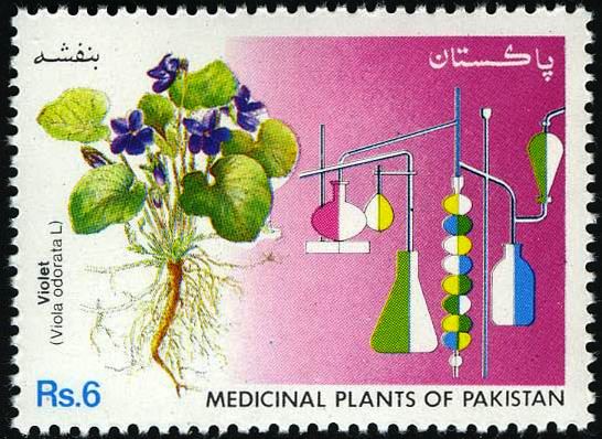 (image for) Pakistan Fdc 1992 Brochure Stamp Medicinal Plants Banafsha