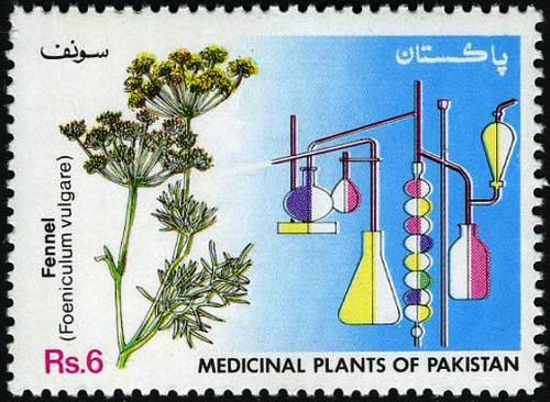 (image for) Pakistan Fdc 1993 Brochure Stamp Medicinal Plants Saunf Fennel