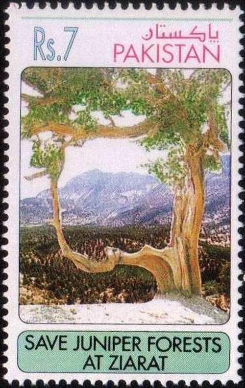 (image for) Pakistan Fdc 1993 Brochure Stamp Juniper Forests At Ziarat