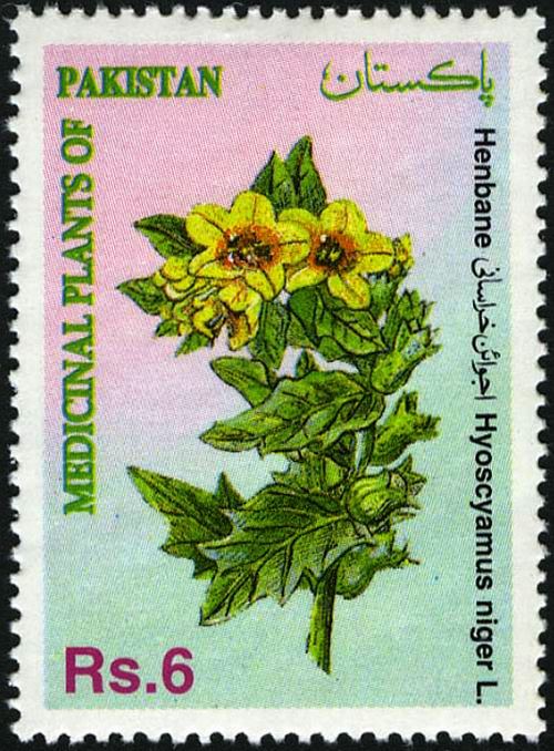 (image for) Pakistan Fdc 1994 Brochure Stamp Medicinal Plants Ajwain Khurasa