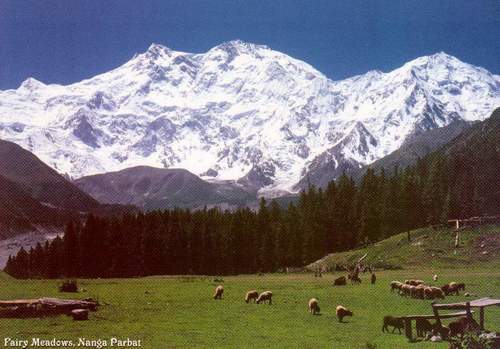 (image for) Pakistan Beautiful Postcard Nanga Parbat 8125M