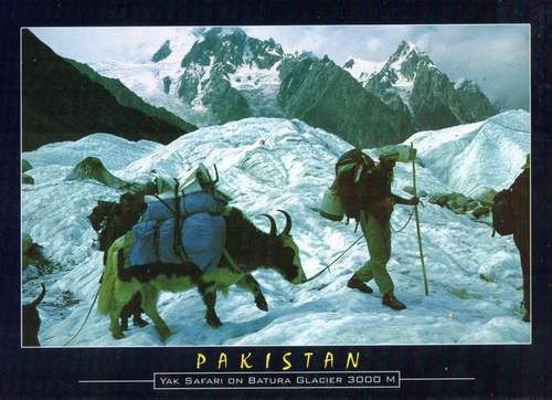 Pakistan Beautiful Postcard Yak Safari On Batura Glacier (image for) Pakistan Beautiful Postcard Yak Safari On Batura Glacier