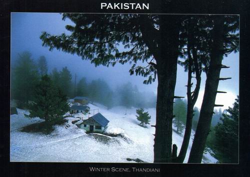 (image for) Pakistan Beautiful Postcard Winter Scene Thandiani