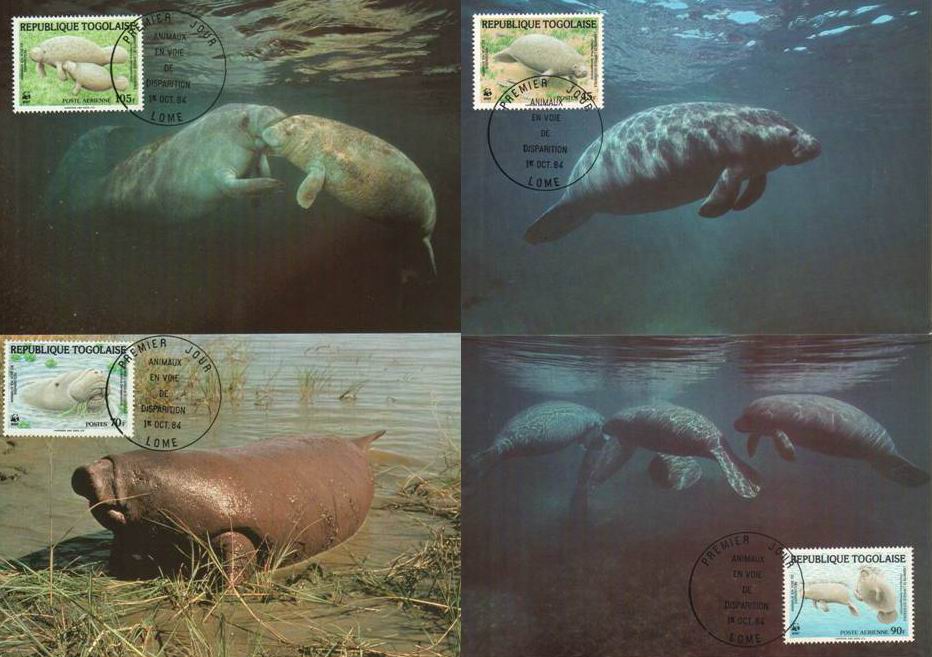 (image for) WWF Togolaise 1984 Maxi Cards Caribbean Manatee