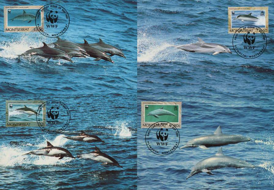 (image for) WWF Montserrat 1990 Maxi Cards Common Striped Spineer Spotted Do