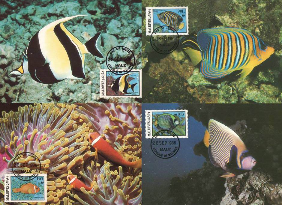 (image for) WWF Maldives 1986 Maxi Cards Fishes