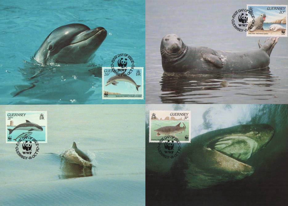 (image for) WWF Guernsey Maxi Cards 1990 Dolphin Grey Seal Etc