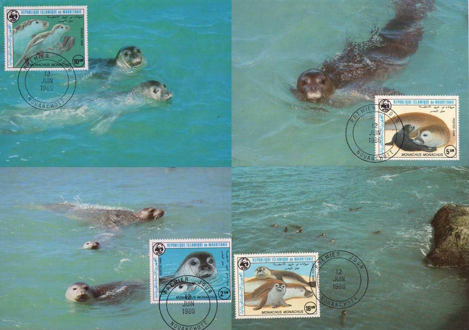 (image for) WWF Mauritanie 1986 Maxi Cards Monk Seal
