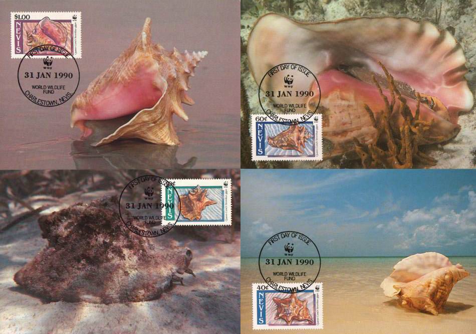 (image for) WWF Nevis 1990 Maxi Cards Queen Conch