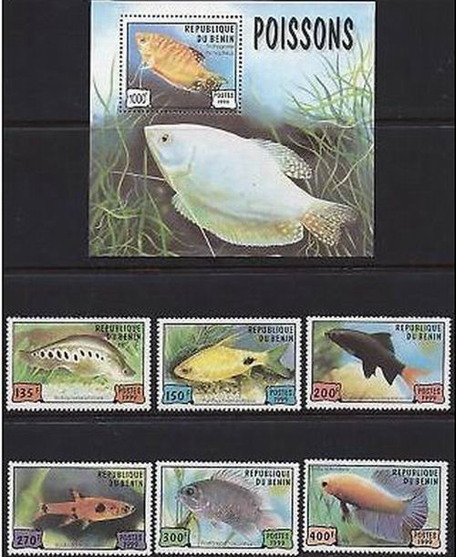 (image for) Benin 1999 S/Sheet & Stamps Marine Life Poisonous Fishes MNH