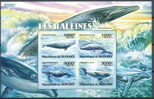 (image for) Burundi 2011 S/Sheet & Stamps Imperf Marine Life Whales MNH