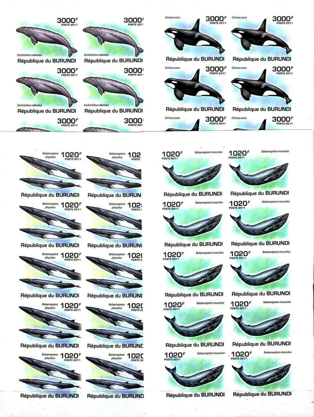 (image for) Burundi 2011 S/Sheet & Stamps Imperf Marine Life Whales MNH