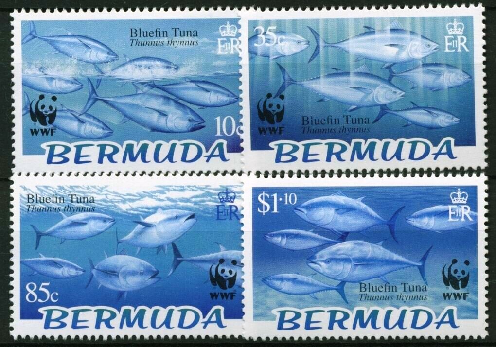 Samoa 2014 Stamps Marine Life Fish Turtles Sharks MNH - Click Image to Close