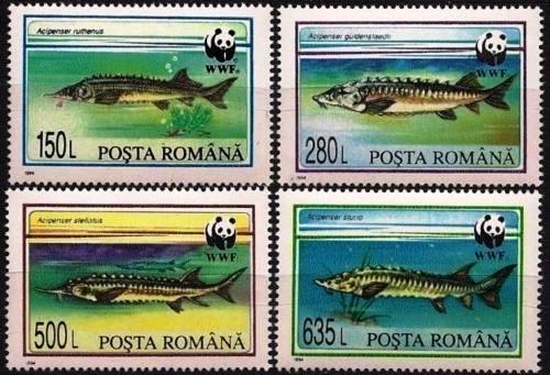 (image for) WWF Romania 1994 Stamps Protected Fishes MNH