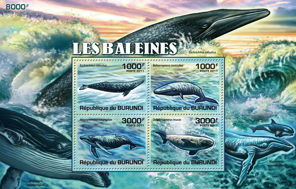 (image for) Burundi 2011 S/Sheet & Stamps Marine Life Whales MNH
