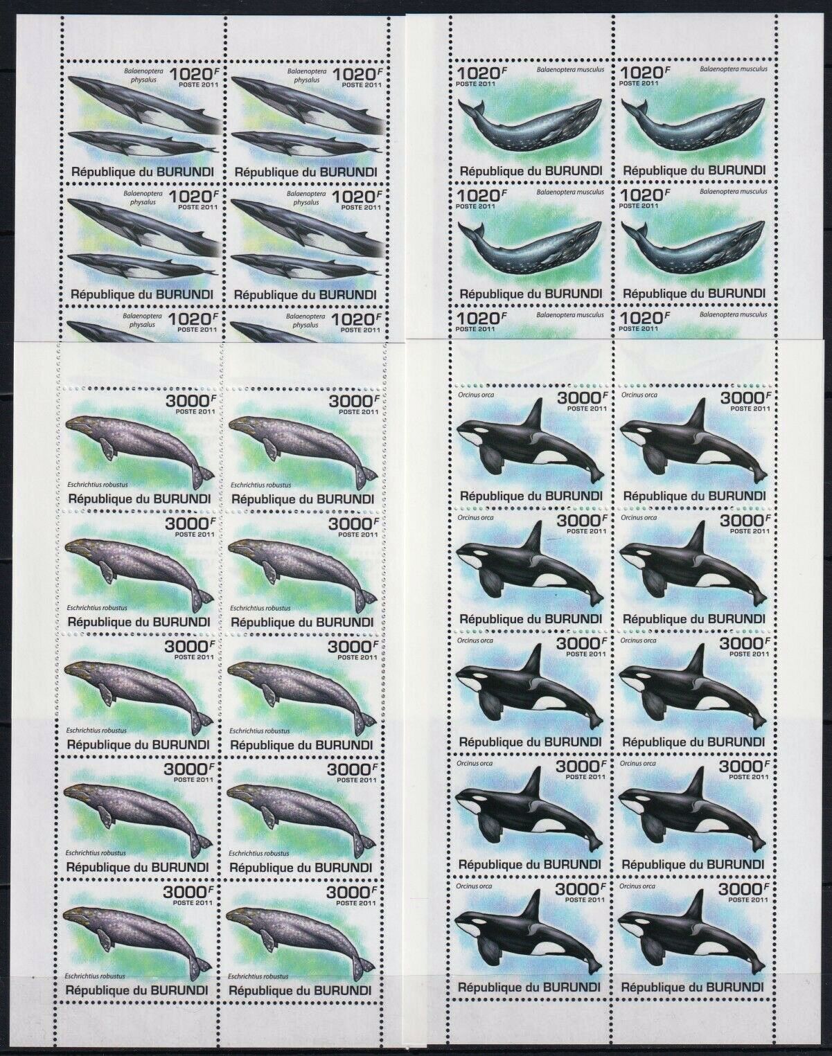 (image for) Burundi 2011 S/Sheet & Stamps Marine Life Whales MNH