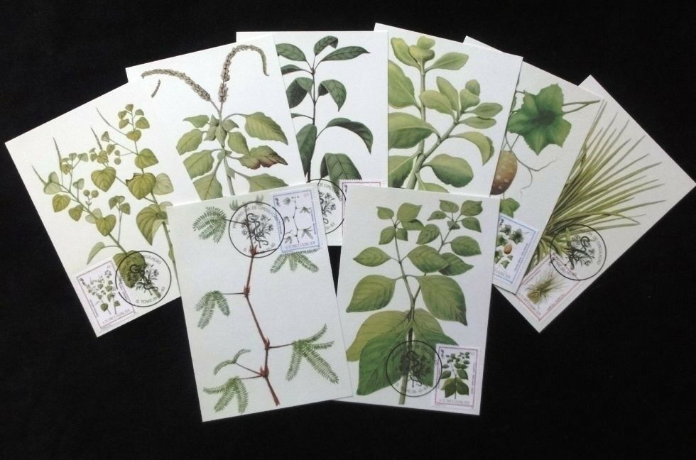 (image for) S.Tome Thomas 1983 Medicinal Plants Maxi Cards