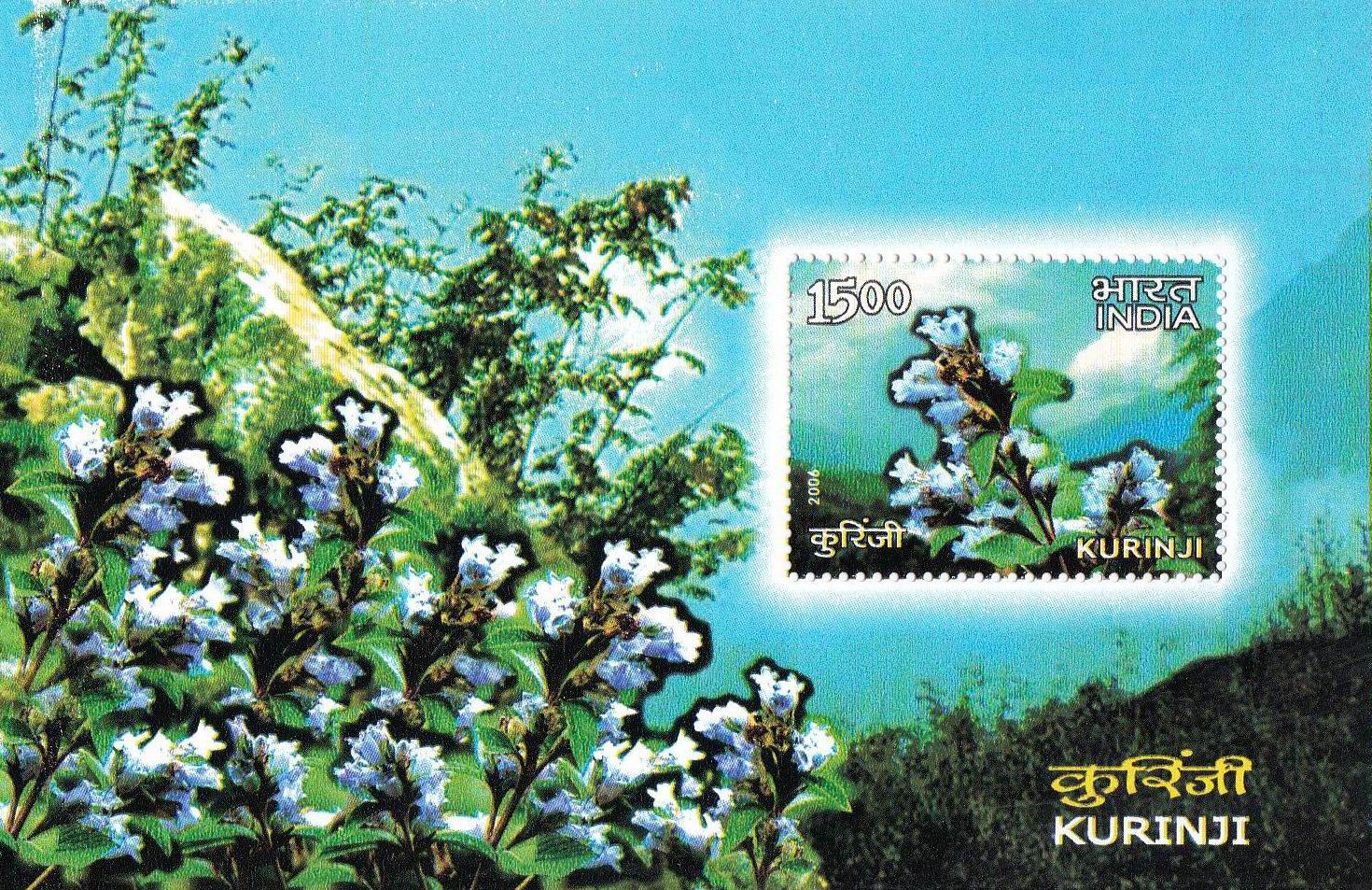 (image for) India Stamps S/Sheet 2006 Medicinal Plants Of India Kurinji