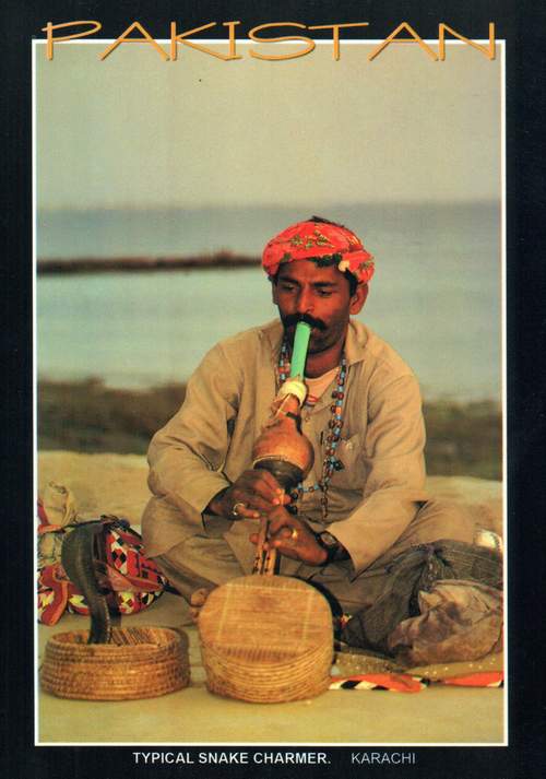 (image for) Pakistan Beautiful Postcard Typical Snake Charmer