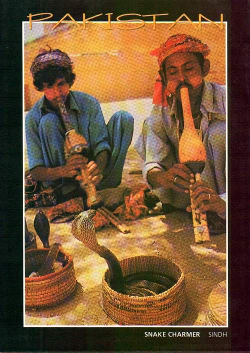 (image for) Pakistan Beautiful Postcard Typical Snake Charmer