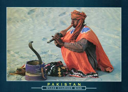 (image for) Pakistan Beautiful Postcard Typical Snake Charmer
