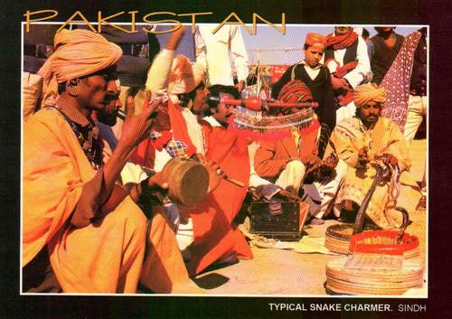(image for) Pakistan Beautiful Postcard Typical Snake Charmer