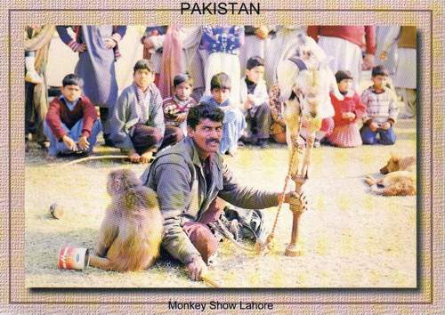 (image for) Pakistan Beautiful Postcard Typical Roadside Monkey Show