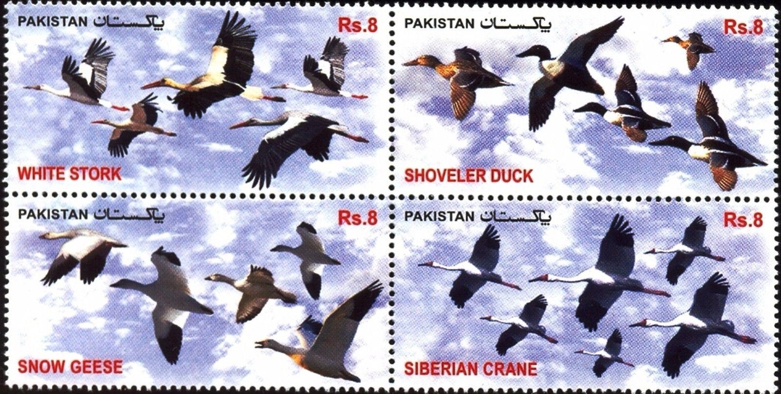 (image for) Pakistan Stamps 2012 Migratory Birds In Pakistan
