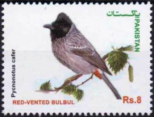 (image for) Pakistan Stamps 2013 Birds Of Pakistan Series Red Vented Bulbul