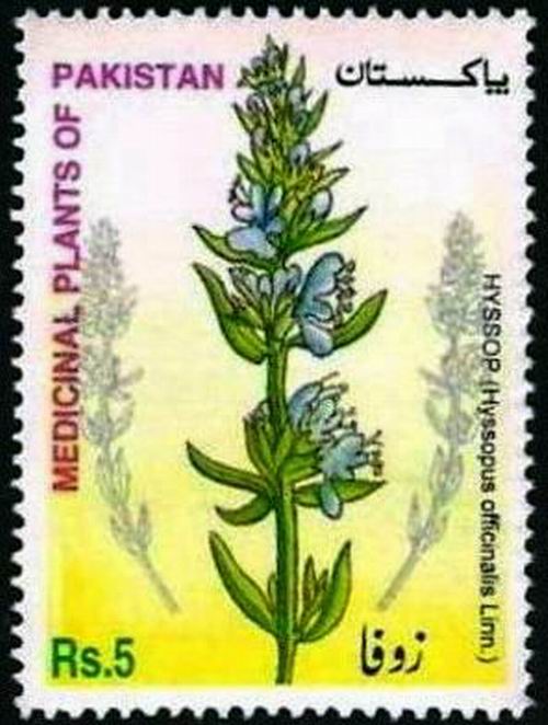 (image for) Pakistan Stamps 2002 Medicinal Plants Hyssop Zufa
