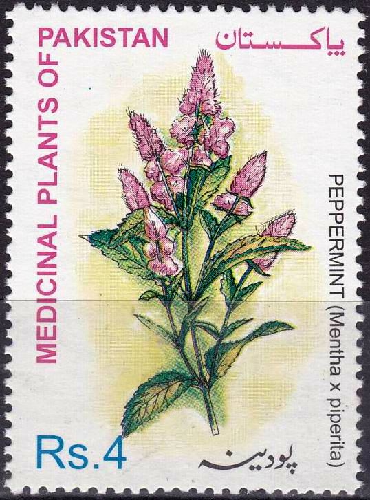 (image for) Pakistan Stamps 2001 Medicinal Plant Peppermint