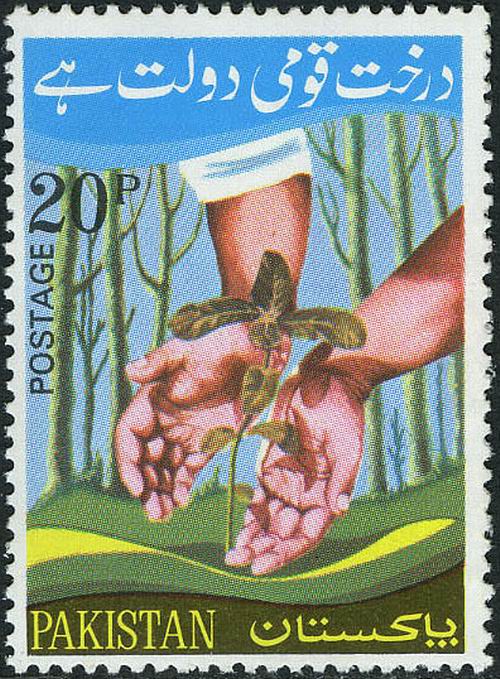 (image for) Pakistan Stamps 1974 Tree Plantation Day