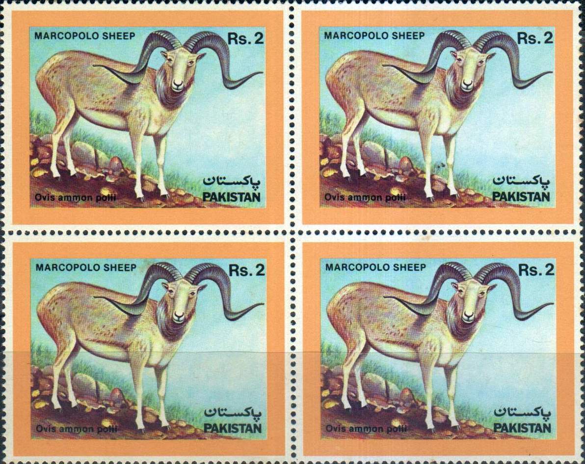 (image for) Pakistan Stamps 1986 Marcopolo Sheep
