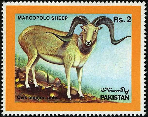 (image for) Pakistan Stamps 1986 Marcopolo Sheep