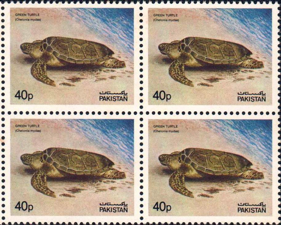 (image for) Pakistan Stamps 1981 Wildlife Series Green Turtle
