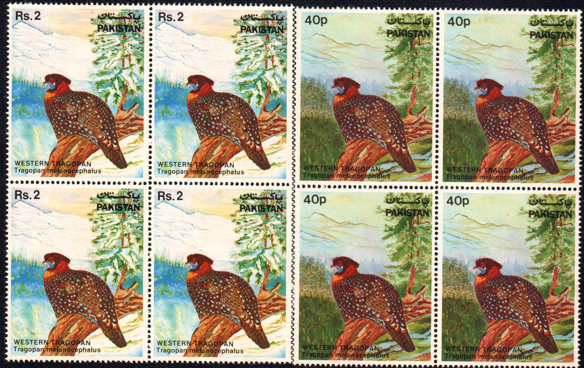 (image for) Pakistan Stamps 1981 Wildlife Series Western Tragopan