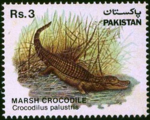(image for) Pakistan Stamps 1983 Wildlife Series Marsh Crocodile