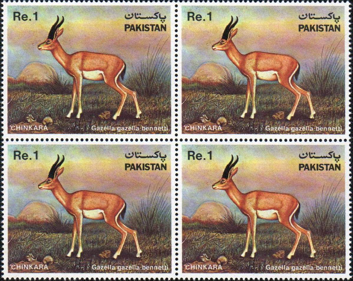 (image for) Pakistan Stamps 1983 Chinkara Gazelle