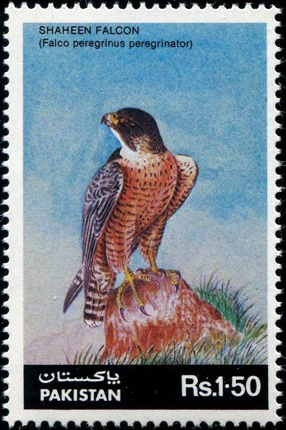 (image for) Pakistan Stamps 1986 Shahen Falcon