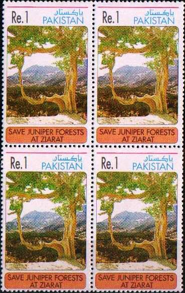 (image for) Pakistan Stamps 1995 Juniper Forest at Ziarat