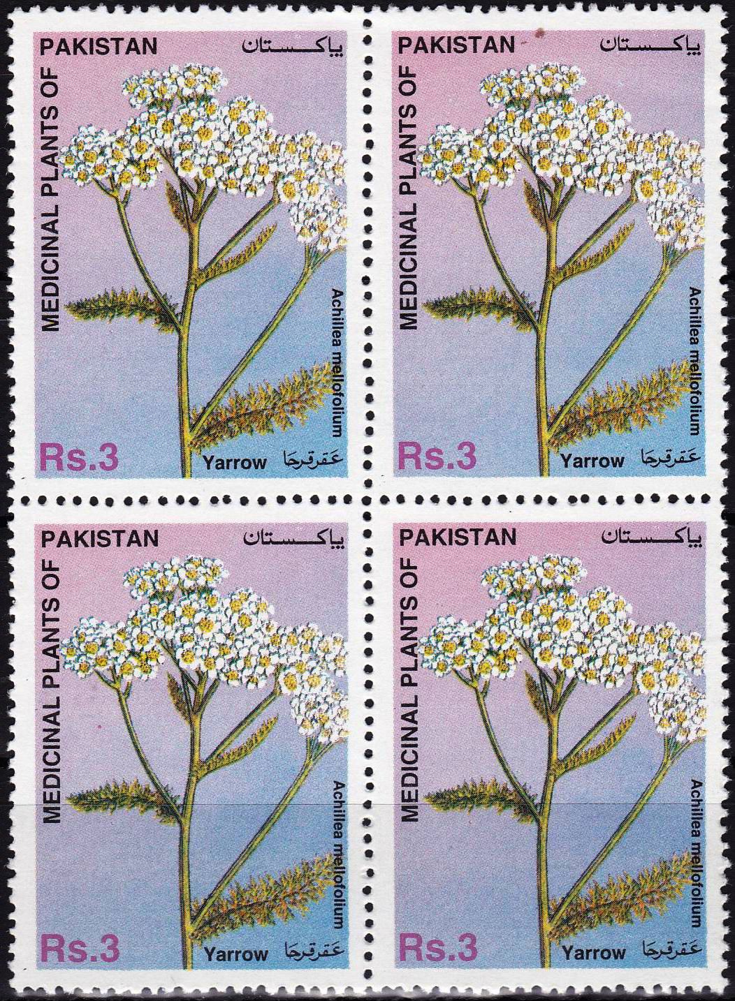 (image for) Pakistan Stamps 1996 Medicinal Plant Achillea Mellofolium Linn