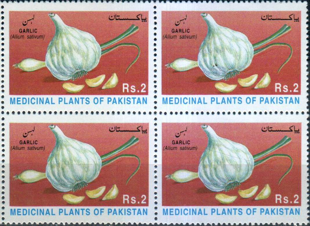 (image for) Pakistan Stamps 1997 Medicinal Plants Allium Satium Linn–Lahsan